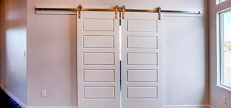 Glass Barn Door with Installation Hardware Kit Redlands