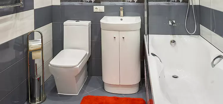 Hansgrohe Shaving Mirror Redlands